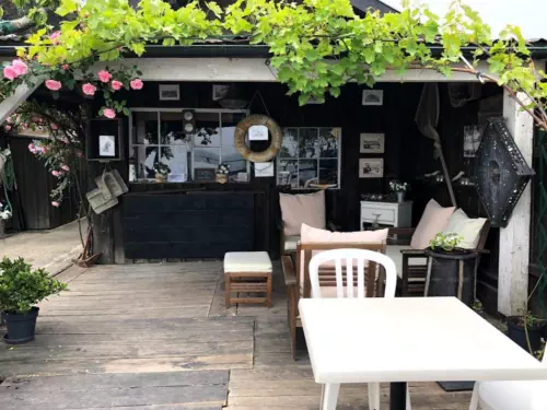 Les huîtres du Cap Ferret