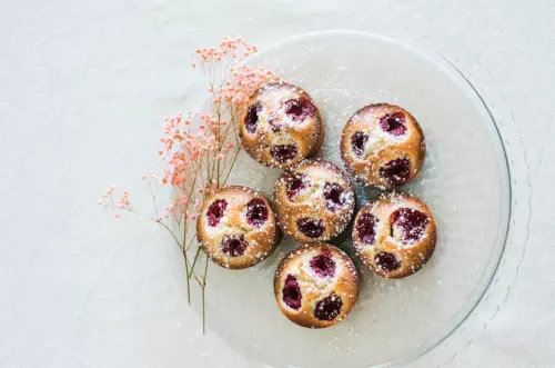 Photographe Bordeaux