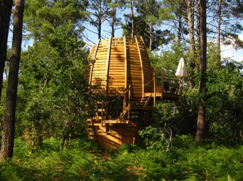 Cabanes perchées dans les Landes