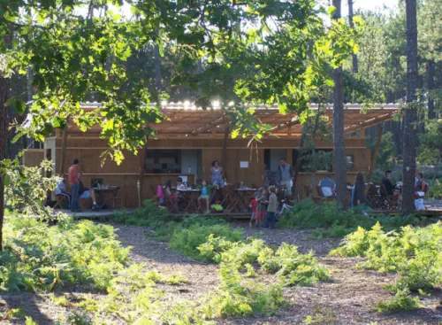 Cabanes perchées dans les Landes