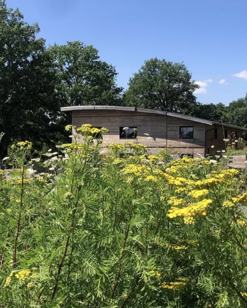 Visite et ateliers au sein d'une ferme limousine