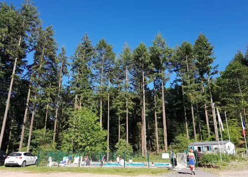 Domaine en pleine forêt au cœur de la Mayenne