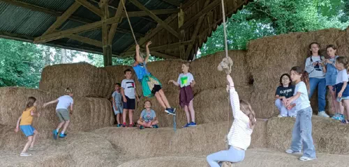 Ferme avec hébergements et activités en Haute-Normandie