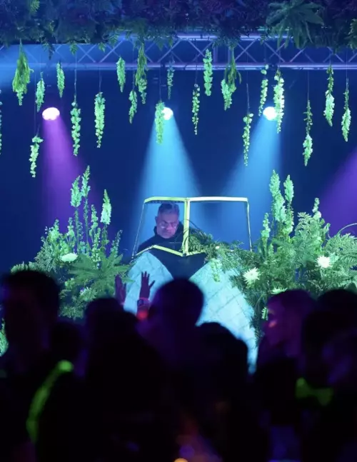 Décors végétaux lumineux