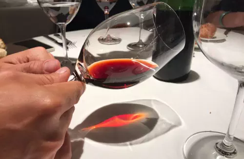 Animation accords mets et vins dans le Sud-Ouest