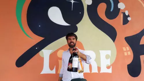 Cave à vins bio de Bordeaux