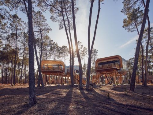 Les Landes de Gascogne