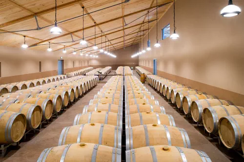 Domaine HVE à Léognan