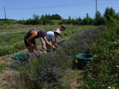 Brasseurs Cueilleurs