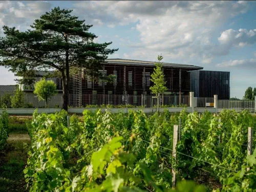 Domaine viticole agro-écologique
