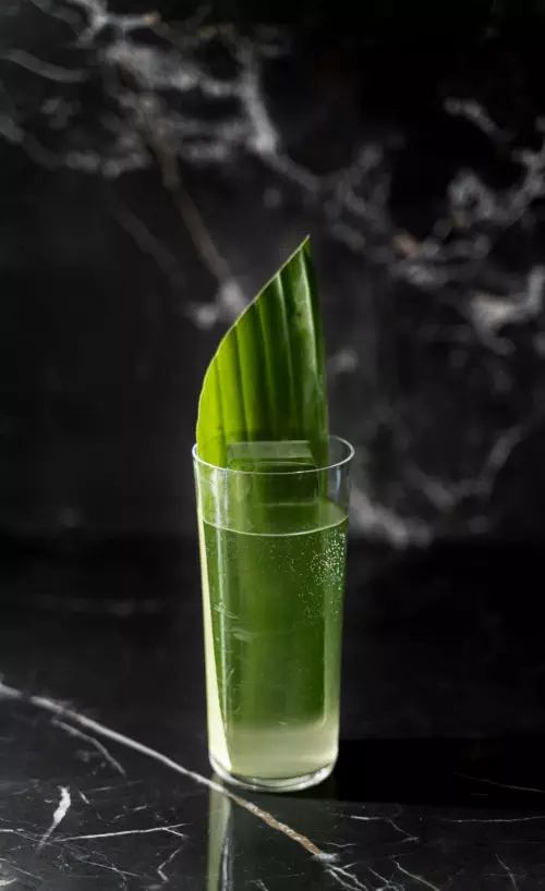 Les cocktails haut de gamme en Aquitaine