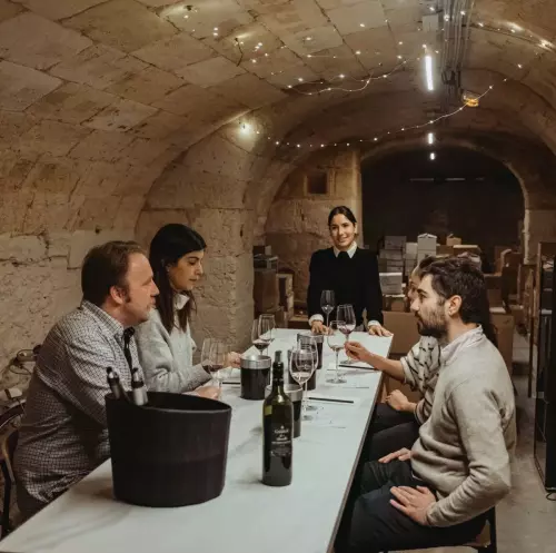 Bordeaux Wine Trails