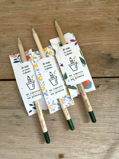 Goodies de papeteries à planter