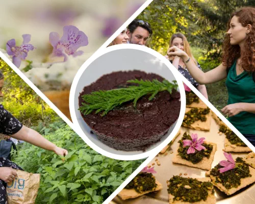 Ateliers de découverte de la nature en Gironde