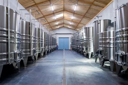 Domaine HVE à Léognan