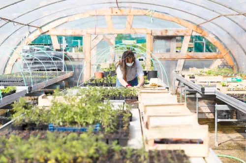Ferme urbaine et ses activités de teambuilding à Bobigny