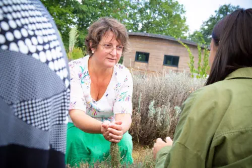 Visite et ateliers au sein d'une ferme limousine