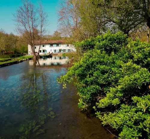 Domaine en bord de rivière près de Niort
