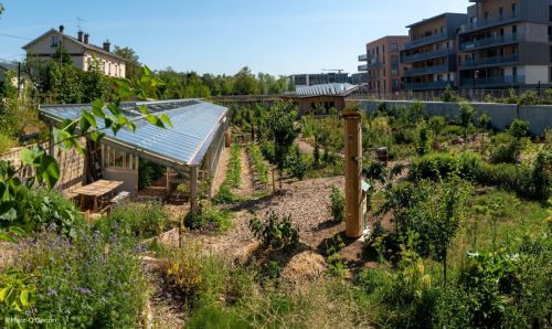 Notre micro-ferme urbaine