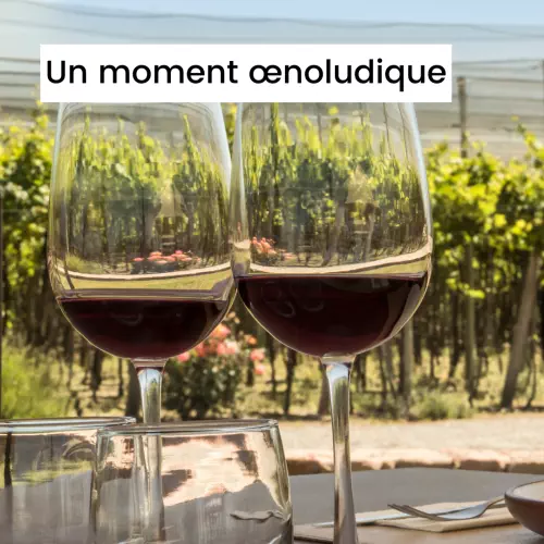 Image d'activité œnotouristique à titre d'exemple