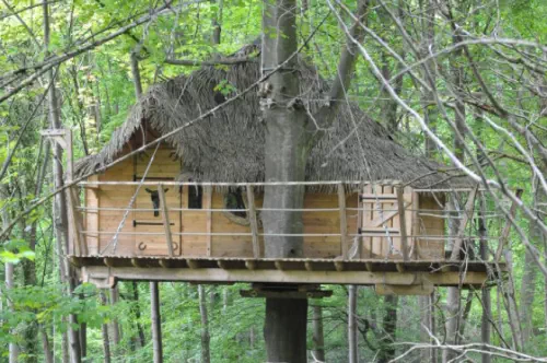 Cabanes insolites dans les arbres proches de Rouen