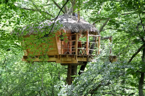 Cabanes insolites dans les arbres proches de Rouen