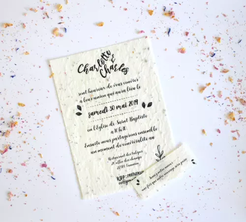 Goodies de papeteries à planter