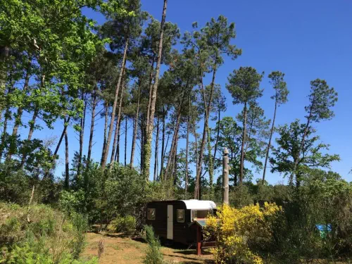 Domaine nature près de Seignosse