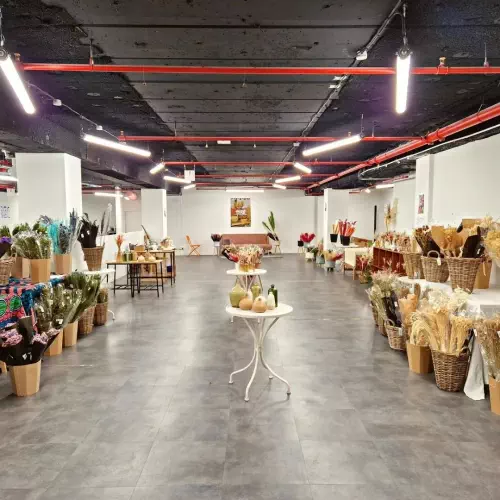 Concept store de 300m² à Lille