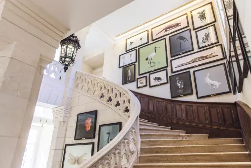 Eco-domaine 5* entre Angoulême et Limoges