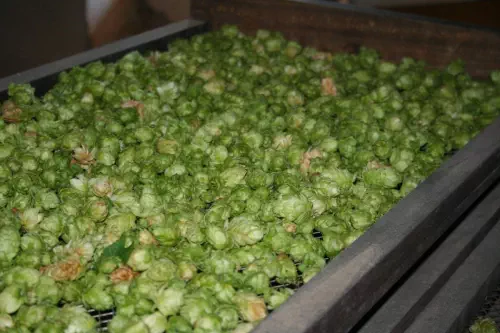 La Brasserie des Cèdres