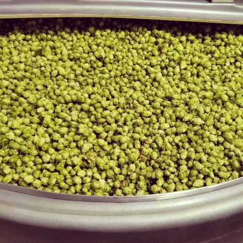 Brasserie la Mouette