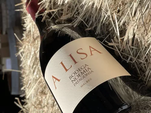 Dégustation de vins argentins en Loire-Atlantique