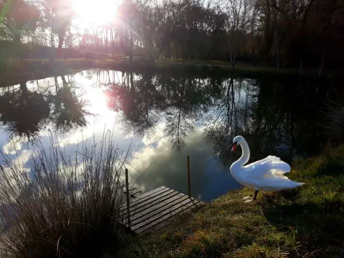 Eco-lodges en Charente-Maritime
