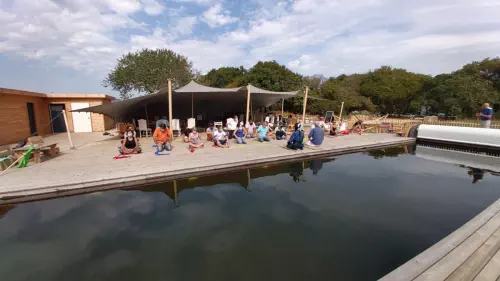 Cabanes dans les arbres en Bretagne