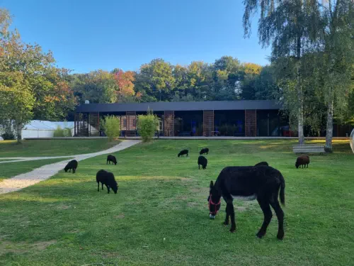 Complexe résidentiel en Île de France