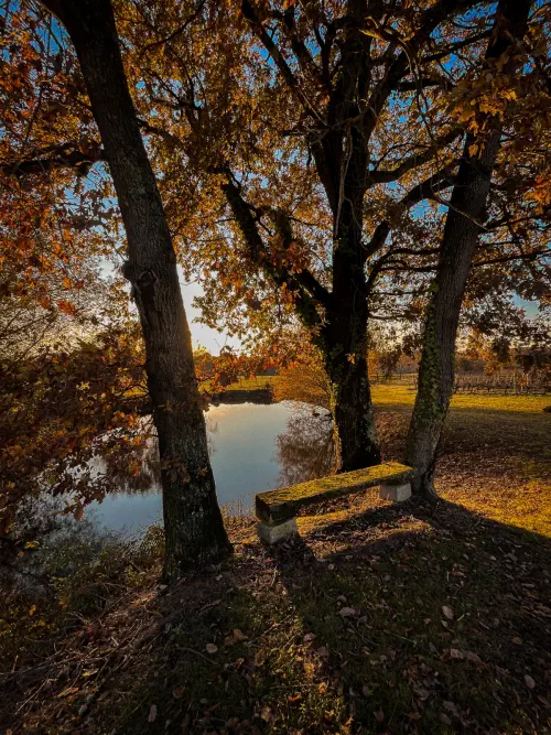Château viticole proche de Langon