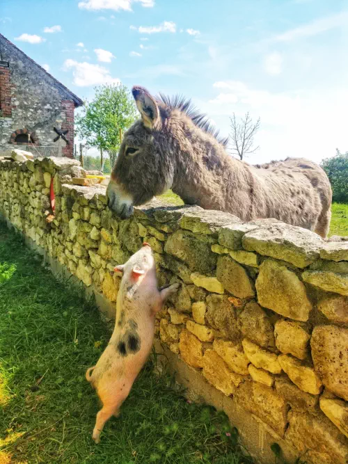 Gîte convivial du Loiret
