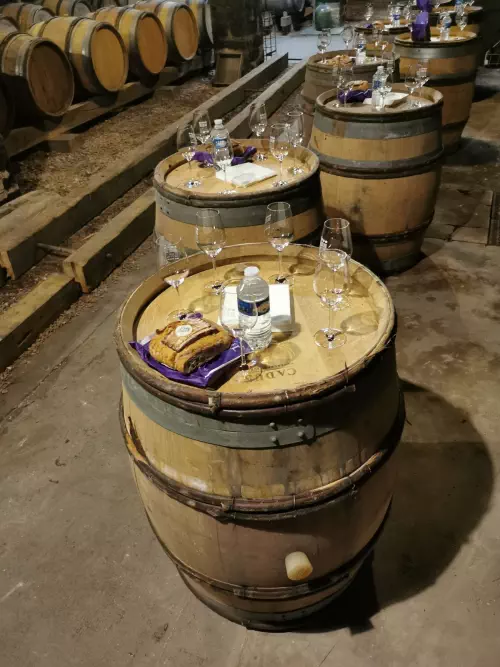 Ateliers DIY et dégustation de vins à Dijon