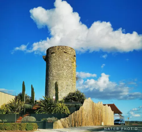Restaurant avec terrasse en Dordogne