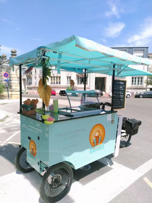 Glacier original et son vélo triporteur à Bordeaux
