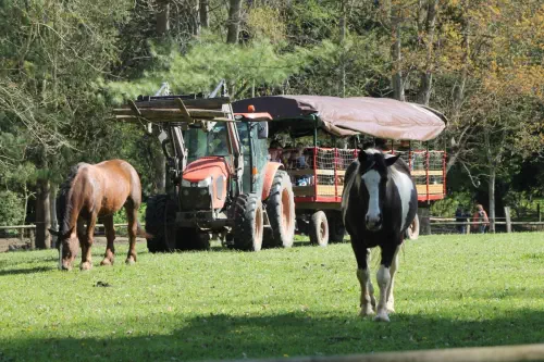 Les teambuildings originaux du Calvados