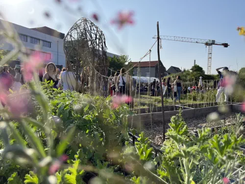 Ferme fleurie à Montreuil