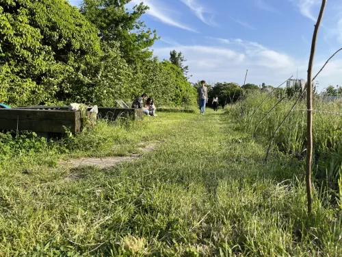 Ferme fleurie à Montreuil