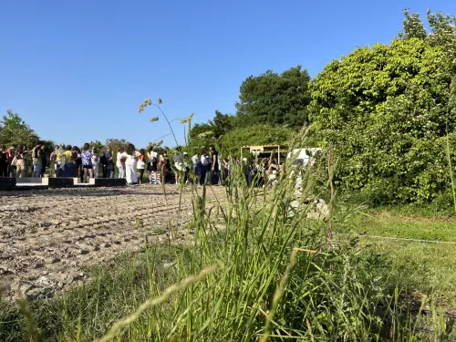 Ferme fleurie à Montreuil