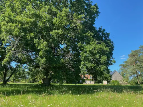 Séminaire au vert dans un gîte tourangeaux