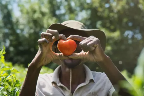 Centre écologique pour séminaires dans la Drôme