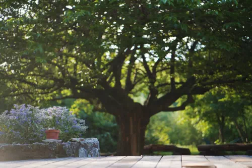 Centre écologique pour séminaires dans la Drôme