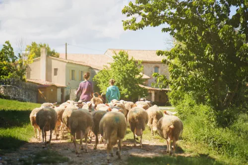Centre écologique pour séminaires dans la Drôme