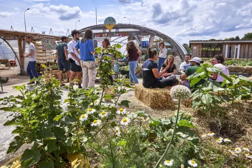 Ferme urbaine et ses activités de teambuilding à Bobigny